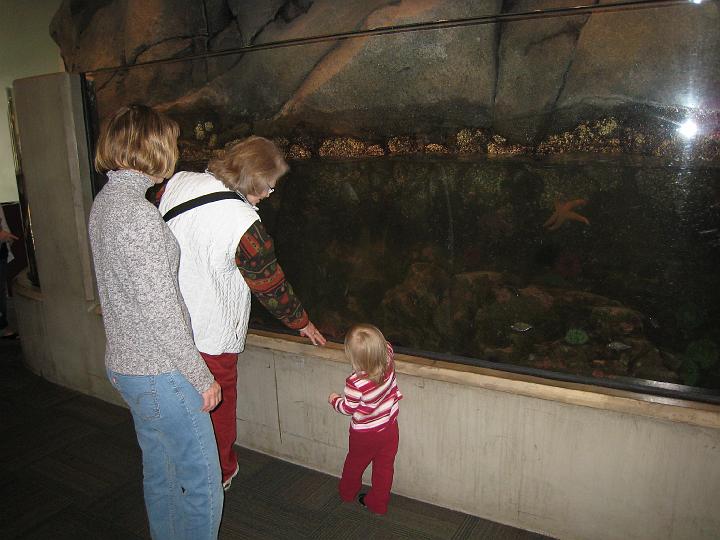 Seattle Aquarium 06.JPG